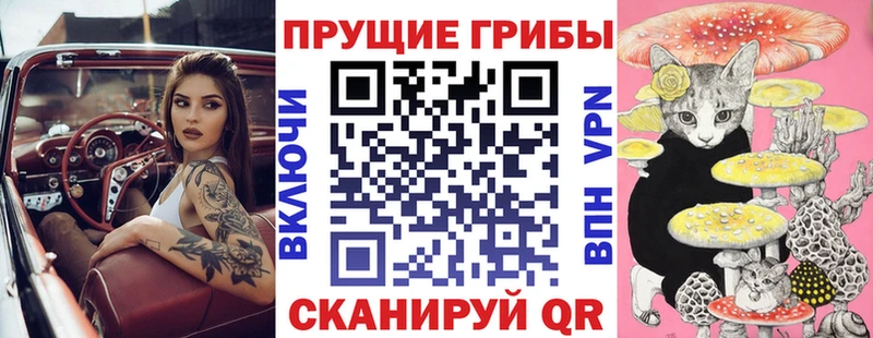 hydra вход  Неман  Псилоцибиновые грибы Magic Shrooms 